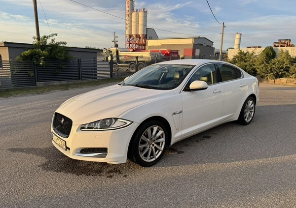 Jaguar XF cena 47000 przebieg: 203000, rok produkcji 2012 z Radzymin małe 67